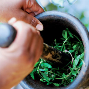 preparation of ayurvedic medicines using herbs