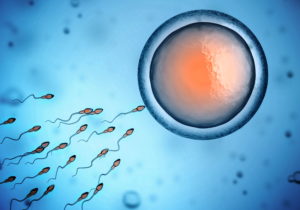 low sperm count leading to infertility